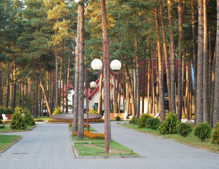 Внешний вид и территория - Санаторий «Энергетик» Беларусь