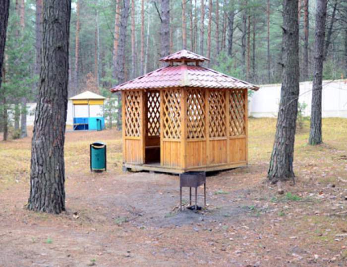 Площадка для шашлыков - Санаторий «Энергетик» Беларусь