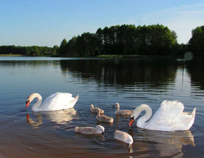 Услуги, развлечения и спорт - Санаторий «Энергетик» Беларусь
